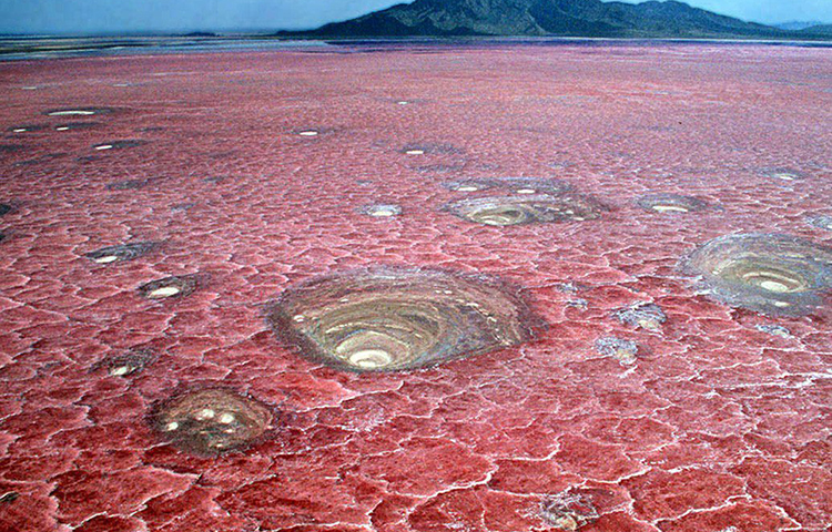 বছরের বেশির ভাগ সময় হ্রদের জলের তাপমাত্রা থাকে ৬০ ডিগ্রি সেলসিয়াস। ফলে জল দ্রæত বাষ্পীভূত হয়ে যায়। আর তলদেশে পড়ে থাকে জলের মতো তরল লাভা।