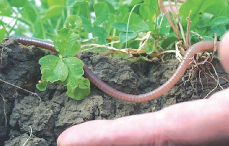 ২০১৪ সালে ইলেক্ট্রনিক্স অ্যান্ড কমিউনিকেশন ইঞ্জিনিয়ারিং নিয়ে পড়াশোনা শেষ করেন। অভিষেকের বাড়িতে চাষবাসের চল রয়েছে। কিন্তু ইঞ্জিনিয়ারিং পড়ে চাষ! একেবারেই পছন্দ ছিল না তার। তার কাছে চাষাবাদের অর্থ ছিল ঘণ্টার পর ঘণ্টার মাঠে রোদের মধ্যে পরিশ্রমের কাজ। এবং প্রচুর পরিশ্রমের বিনিময়ে যৎসামান্য কিছু অর্থ। কখনো তা আবার বিনিয়োগের থেকেও কম হতে পারে।