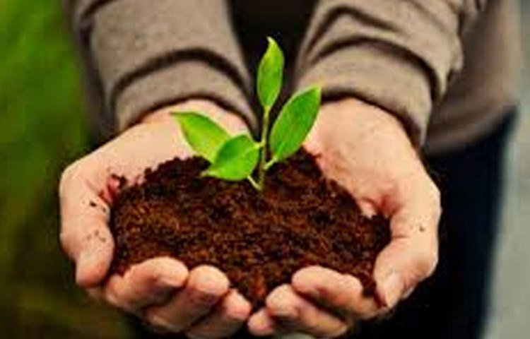 রোজ ১৫-২০ মিনিট মাত্র লাগে গাছে পানি দিতে তার। সম্পূর্ণ জৈবিক পদ্ধতিকে ফসল ফলিয়ে যাচ্ছেন এই ইলেক্ট্রনিক্স অ্যান্ড কমিউনিকেশন ইঞ্জিনিয়ার। জমিতে বায়োগ্যাস প্ল্যান্টও লাগিয়েছেন। জমির সমস্ত বর্জ্য দিয়ে বায়োগ্যাস তৈরি করেন এবং সেই গ্যাসেই বাড়িতে রান্না হয়। ইঞ্জিনিয়ার থেকে চাষি হয়ে কতটা সুফল পেলেন?