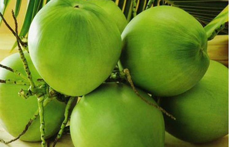 মাথা যন্ত্রণা দূরে থাকবে: ডিহাইড্রেশনের কারণে মাথা যন্ত্রণা বা মাইগ্রেনর অ্যাটাক হওয়ার মতো ঘটনা ঘটলে দ্রুত এক গ্লাস ডাবের পানি খেয়ে নেবেন। এমনটা করলে দেখবেন নিমেষে কষ্ট কমে যাবে। আসলে এই প্রকৃতিক উপাদানটিতে উপস্থিত ম্যাগনেসিয়াম, এই ধরনের শারীরিক সমস্যার চিকিৎসায় বিশেষ ভূমিকা পালন করে থাকে।