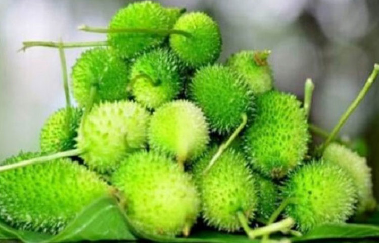 যাদের রক্তে ক্ষতিকর কোলেস্টেরল বেশি মাত্রায় উপস্থিত, তাদের জন্য কাঁকরোল অত্যন্ত উপকারী একটি সবজি। এটি রক্তে উপস্থিত ক্ষতিকর কোলেস্টেরলের মাত্রা কমাতে সাহায্য করে।