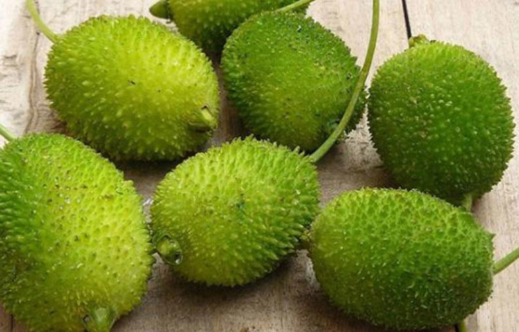 একাধিক গবেষণায় দেখা গিয়েছে, যাদের শরীরে লাইকোপিনেরে মাত্রা কম তাদের মধ্যে হার্ট অ্যাটাকের ঝুঁকি অন্যদের তুলনায় অন্তত ৫০ শতাংশ বেশি রয়েছে। তাই হৃদযন্ত্রের সুস্বাস্থ্য ধরে রাখতে কাঁকরোল নিয়মিত খান।