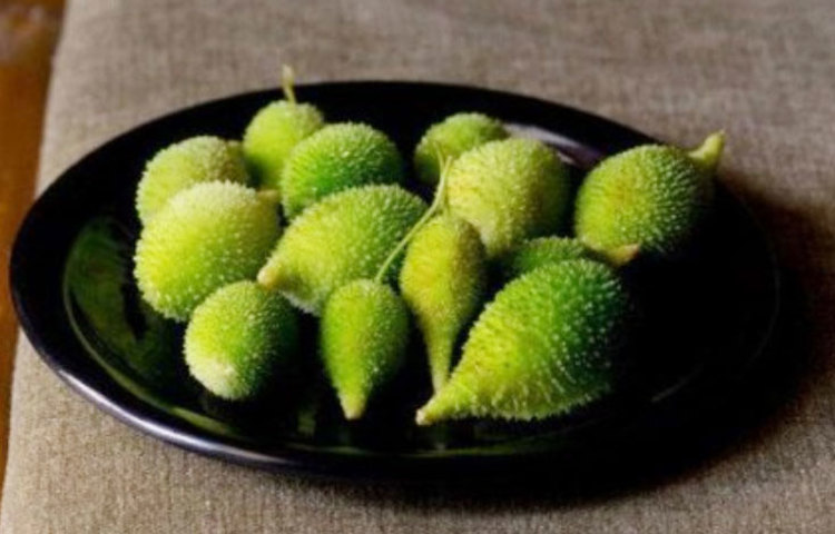 কাঁকরোলে রয়েছে চোখের স্বাস্থ্যের জন্য উপকারী বিটাক্যারোটিন, ভিটামিন ও অন্যান্য অনেক উপাদান যা দৃষ্টিশক্তির উন্নতিতে অত্যন্ত কার্যকরী! দৃষ্টিশক্তির উন্নতির পাশাপাশি কাঁকরোল চোখের ছানি পড়া ঠেকাতেও সাহায্য করে।