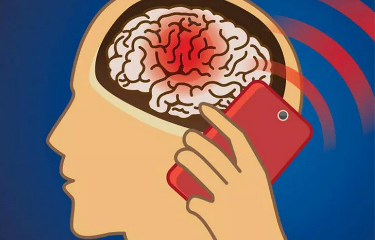 স্মার্টফোন কেনার সময় আমরা সবাই ফোনের ক্যামেরা, RAM, দাম দেখে থাকি, কিন্তু আমারা সবাই একটি গুরুত্বপূর্ণ জিনিস দেখতে ভুলে যাই। সব ফোনেই কম বেশি হলেও রেডিয়েশন (radiation) পাওয়া যায়। সবচেয়ে বিপজ্জনক স্মার্টফোনগুলোর তালিকা প্রকাশ করা হয়েছে German Fedler Office of Radiation Protection.