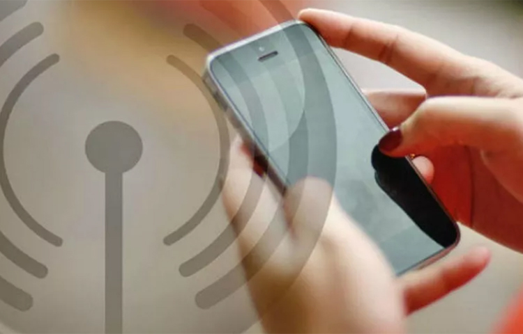 এই তালিকায় ১৬টি ফোনের মধ্যে ৬টি ফোন Xiaomi-র। এছাড়াও তালিকায় রয়েছে iPhone 8, HTC Desire 12/12+, ZTE Axon 7Mini, google pixel 3.