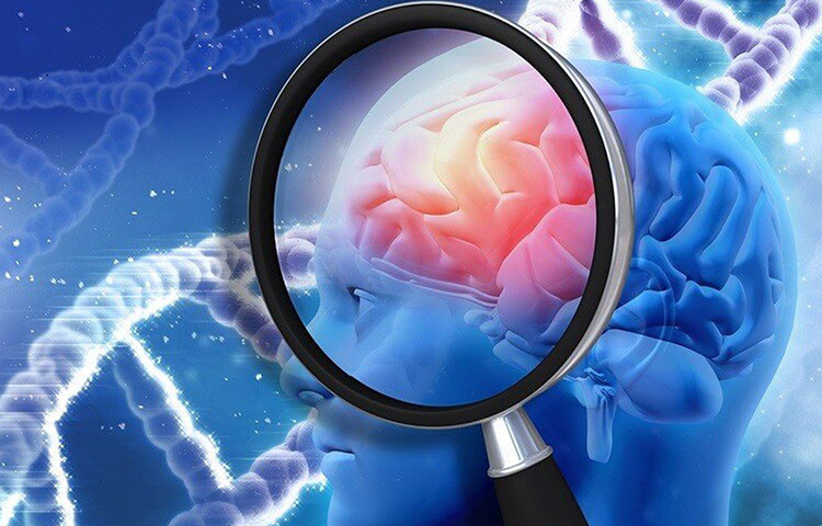 কীভাবে এত নিষ্ঠুরতার সঙ্গে খুন করত দিয়োগো, তা জানতে উত্সুক হয়ে ওঠে মেডিক্যাল-সার্জিক্যাল স্কুল অব লিসবন-এর বিজ্ঞানীরা। তার মস্তিষ্ক নিয়ে গবেষণা করার জন্য ফাঁসির পর দিয়েগোর মুণ্ড কাটা হয়। প্রতীকী ছবি।