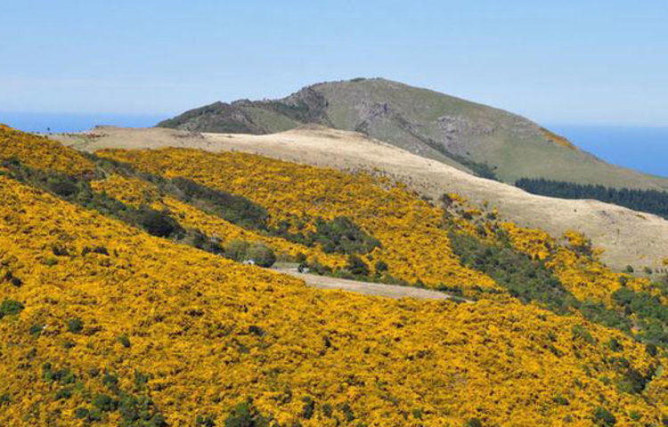 নিউজিল্যান্ড: নিউজিল্যান্ডেও প্রায় নিরবিচ্ছিন্নভাবেই শান্তি বিরাজ করে। গ্লোবাল পিস ইনডেক্সে ছোট্ট এই দ্বীপ দেশটি আছে চতুর্থ স্থানে।