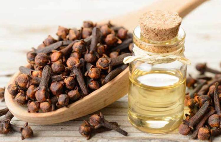 চিনির পাত্রে দু’-তিনটি লবঙ্গ রেখে দিয়ে দেখুন। অন্তত দিন সাতেক পর পর লবঙ্গগুলো বদলে ফেলুন। লবঙ্গর গন্ধে পিঁপড়ে চিনির পাত্রের ধারে-কাছেও আসবে না।