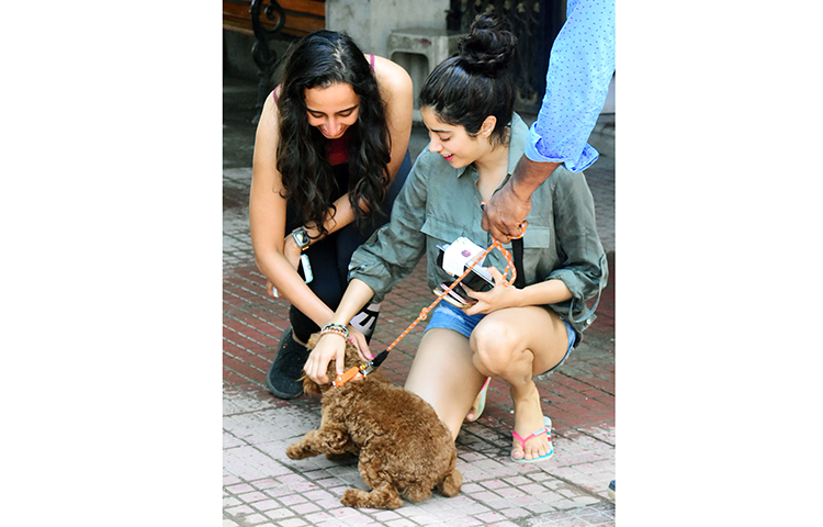 জিমের ফাঁকে কুকুরছানাতে মজলেন শ্রীদেবী কন্যা জাহ্নবী।