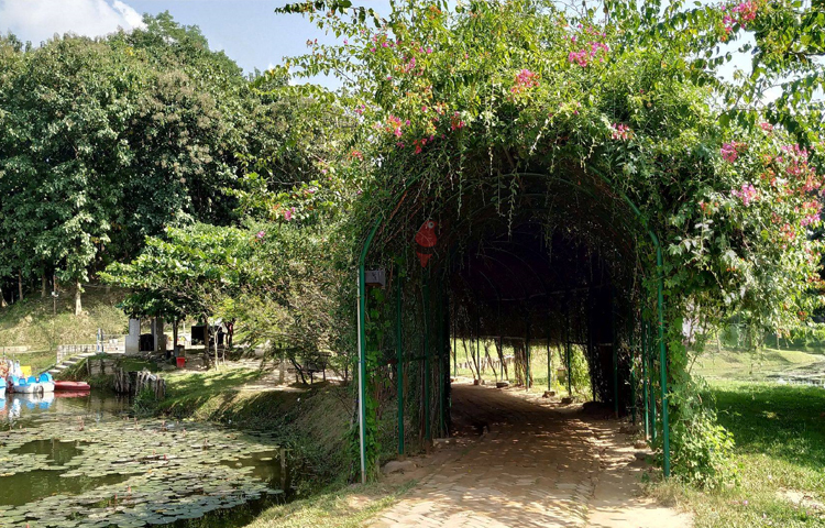 এই পার্কে দর্শনার্থীদের জন্য প্রবেশ ফি ধরা হয়েছে বড়দের জন্য ৫০ টাকা ও ছোট বাচ্চাদের জন্য ৩০ টাকা। এই ক্যাফে ২৪ পার্কে অনেক দূর দূরান্ত থেকে দর্শনার্থীরা বেড়াতে আসেন। ছবি: এম মাঈন উদ্দিন