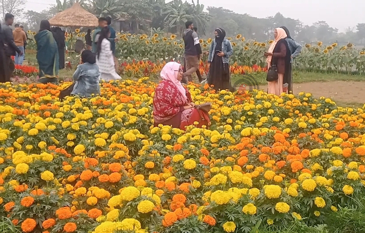 শহরের ব্যস্ততা আর ক্লান্তি দূর করতে প্রতিদিন সুনামগঞ্জে গড়ে উঠা ফ্লাওয়ার লেক নামে দর্শনীয় স্থানে পরিবার পরিজন নিয়ে ছুটে যাচ্ছেন দর্শনার্থীরা।  ছবি: লিপসন আহমেদ