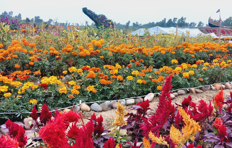 তবে ফুল উৎসবের আগে থেকেই হাজারো দর্শক এই বাগান দেখতে আসছেন প্রতিদিন। ছবি: এম মাঈন উদ্দিন