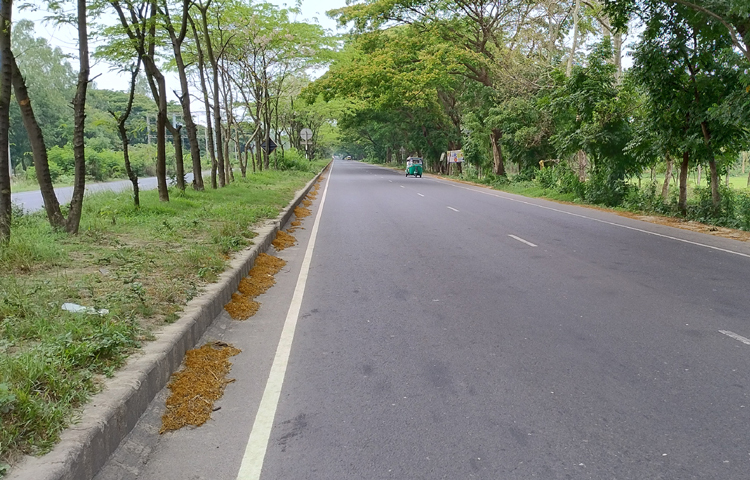 ফলে বন্ধ রয়েছে মার্কেটসহ ছোট-বড় দোকানপাট। সড়কে নেই যানবাহনের চাপ। ছবি: এম মাঈন উদ্দিন