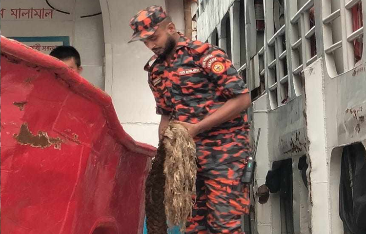 রাজধানীর সদরঘাটে লঞ্চে ওঠানামার দড়ি ছিঁড়ে বেশ কয়েকজন যাত্রী আহত হওয়ার ঘটনা ঘটেছে। ছবি: মাসুদ রানা