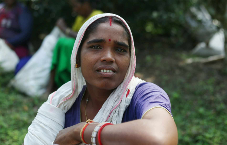 চা বাগানে কাজ করা বেশির ভাগ শ্রমিকই নারী। ছবি: মাহবুব আলম