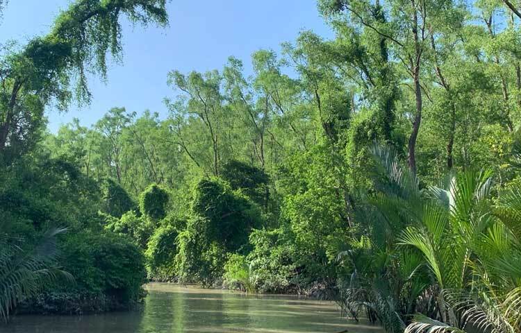 বরগুনার আরেকটি উল্লেখযোগ্য পর্যটন কেন্দ্র হলো ‘টেংরাগিরি বনাঞ্চল’, যা ‘ছোট সুন্দরবন’ নামে পরিচিত। এই বনাঞ্চলে ঘন ম্যানগ্রোভ বন ও বিভিন্ন বন্যপ্রাণীর আবাসস্থল।