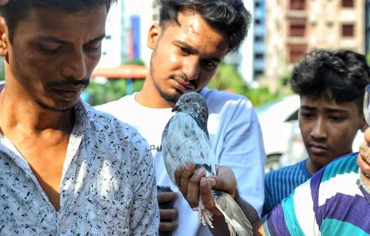কেউ কেউ নিয়ে আসেন নিজের ঘরে পালা গরু, ছাগল, হাঁস-মুরগি, কেউ আনেন বাড়ির গাভীর টাটকা দুধও।