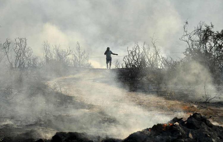 পূর্ব ভূমধ্যসাগরীয় দ্বীপরাষ্ট্র ট্রুডোস পর্বতমালার দক্ষিণ দিকে ভয়াবহ দাবানলের সময় সাইপ্রাসের সৌনি গ্রামের একটি পুড়ে যাওয়া এলাকার মধ্য দিয়ে মোবাইল ফোনে কথা বলছেন এক ব্যক্তি।