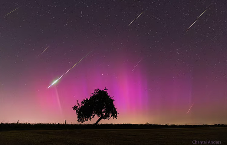২০২৪ সালে অরোরা বা মেরুজ্যোতির সঙ্গে  জার্মানিতেও দেখা মিলেছে  উল্কাবৃষ্টির।