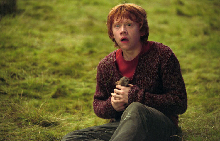 রুপার্ট নিজেও বলেছেন, রন উইজলি তার জীবনের অংশ হয়ে গেছে। এই চরিত্র তাকে যে ভালোবাসা ও সাফল্য দিয়েছে, তা অন্য কিছুর সঙ্গে তুলনাহীন।