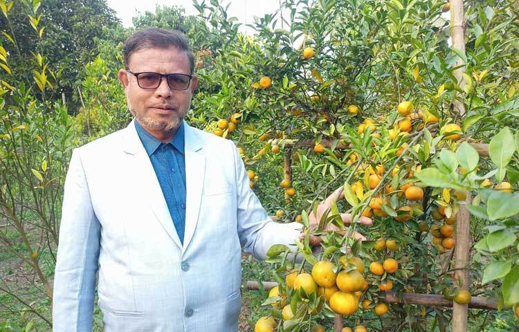 শিক্ষকতার পাশাপাশি কমলা চাষে নজির স্থাপন করেছেন খলিলুর রহমান। যা এলাকার মানুষকে প্রেরণা জোগাচ্ছে। তার বাগান দেখে অনেকেই অনুপ্রাণিত হয়ে কমলা চাষের আগ্রহ প্রকাশ করছেন।