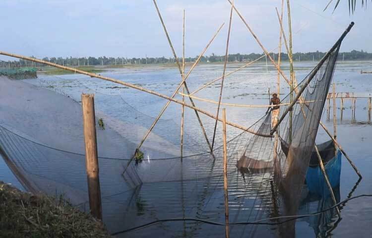 মধু গন্ধে ভরা সর্ষে ফুলে মৌমাছির গুঞ্জন, পাখিদের কলতানের সুখ জাগানিয়া সুরে নিস্তব্ধ বিলে নীরবতা ভাঙে।