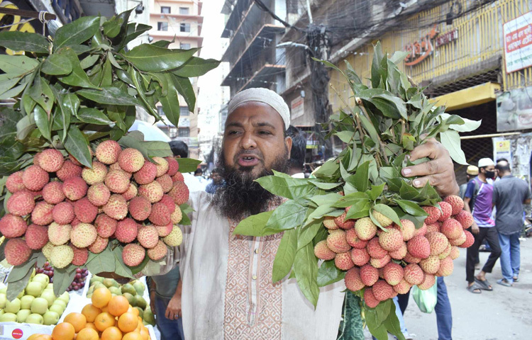 বোম্বে, মাদরাজি, কদমী জাতের লিচুতে ভরপুর ফলের দোকান।