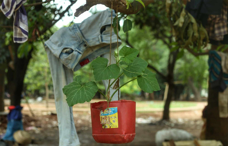 সরিয়ে দেওয়া হয় দীর্ঘদিন ধরে উদ্যানে বসবাস করা উদ্বাস্তু ও পথচারীদের অস্থায়ী ঘরবাড়ি, ভেঙে ফেলা হয় অবৈধ দোকানপাট।