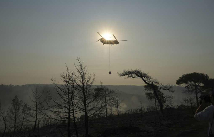 গত কয়েক দিনে প্রবল দাবদাহে শুকিয়ে যাওয়া বনের গাছপালা যেন অপেক্ষায় ছিল একটিমাত্র স্ফুলিঙ্গের। আগুন লেগেই গেল। এক গ্রামের আগুন ছড়িয়ে পড়তে লাগল আরেক গ্রামের দিকে। ঝলসে উঠল দক্ষিণ ট্রুডোসের ঢাল। গাছের গুঁড়ি, শুকনো পাতার স্তূপ, এমনকি গ্রামের আশপাশের খামারবাড়ি কিছুই রেহাই পেল না।