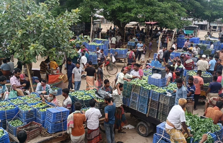 প্রতিদনি গড়ে ১০০ থেকে ১৫০ মণ আম বিক্রি হচ্ছে বাজারে। ছবি: সাখাওয়াত হোসেন