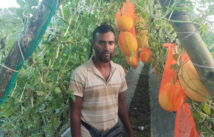 আবহাওয়া অনুকূলে থাকলে প্রায় ৪ লাখ টাকার তরমুজ বিক্রি হবে বলে আশা চট্টগ্রামের মিরসরাই উপজেলার তরুণ এই কৃষি উদ্যোক্তা।