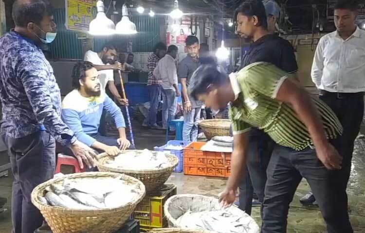 ব্যবসায়ী ও জেলেরা বলছেন, শীতের আগমন ও নদীর পানি কমে যাওয়ায় জেলেদের জালে মিলছে না কাঙ্ক্ষিত ইলিশ।