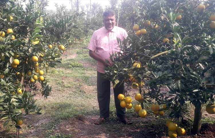 আব্দুল করিমের এই পথ সহজ ছিল না। প্রায় এক যুগ আগে মুরগি পালন, কেঁচো সার উৎপাদনসহ নানা কাজে ব্যর্থ হয়ে সর্বস্বান্ত হন। দেনার দায়ে পালিয়ে যাওয়ার সিদ্ধান্ত নিয়েছিলেন।