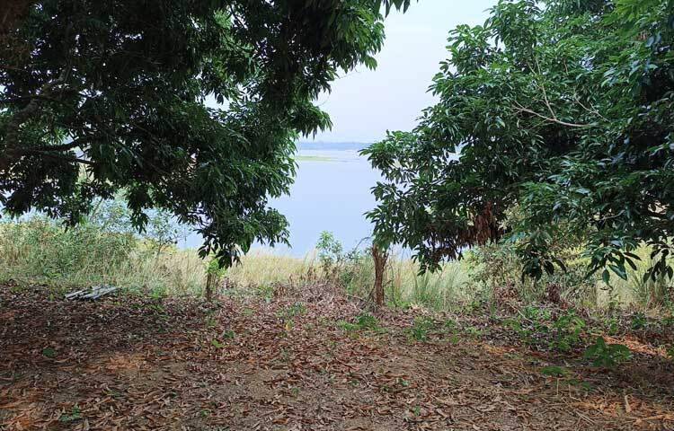 নৈসর্গিক লেকের মাঝে একরাশ মুগ্ধতা নিতে এখানে পর্যটকদের আনাগোনা ক্রমশ বেড়েই চলেছে।