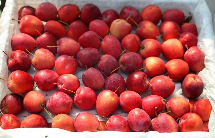 চেরি আপেলের দাম ৪০০ টাকা।