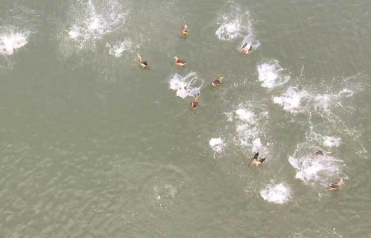 প্রকৃতির এমন অপরূপ সাজের অনাবিল আনন্দ ছুঁয়ে যাচ্ছে বিলপাড়ের মানুষকেও।