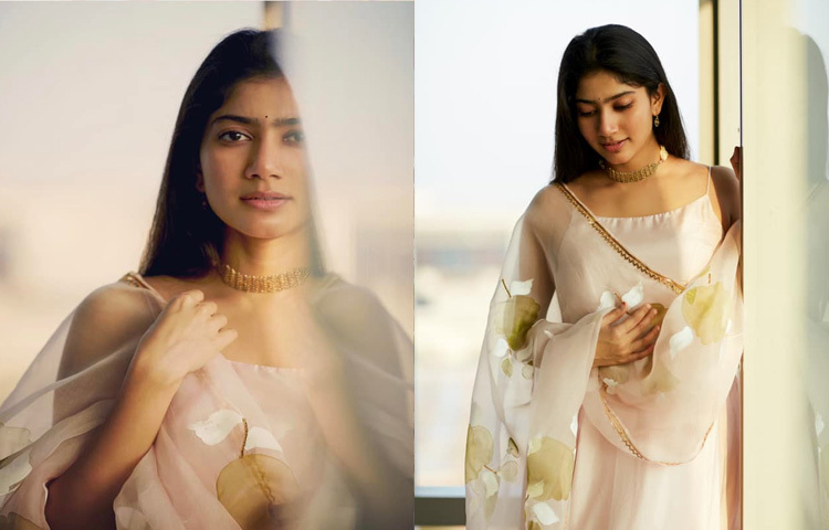 গুণী এই অভিনেত্রী তার সাবলীল অভিনয় আর অনবদ্য নৃত্যদক্ষতায় অল্প সময়েই দখল করে নিয়েছেন দর্শকের হৃদয়।