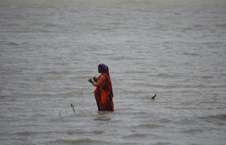 হাঁটু সমান পানির মধ্যে দাঁড়িয়ে তিনি। হাতে লাল নাইলন রশি। পাশে ভাসছিল দুইটি নৌকা। দেখে বোঝা যায়, জলের তলে জাল। চলছে, মাছ ধরার কর্মযজ্ঞ।