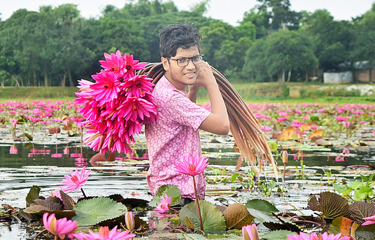 শাপলার স্বাদেও আছে নস্টালজিয়া; মায়ের হাতের রান্না, ছোটবেলার পুকুরে ডুব কিংবা গ্রামের হাট থেকে কেনা কাঁচা শাকের ঘ্রাণ।