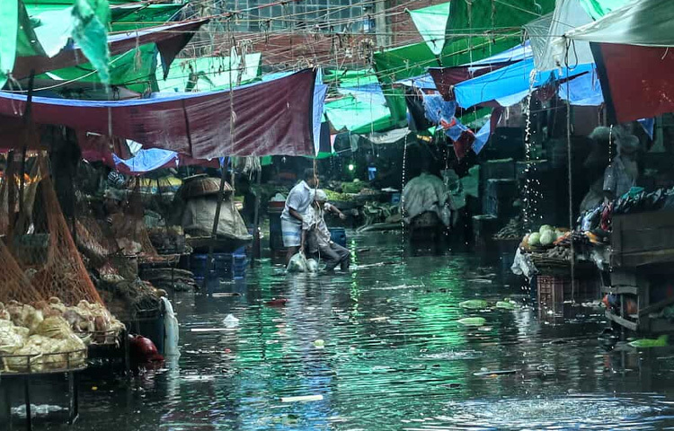 পানির এই দুর্ভোগে সবচেয়ে বেশি ভোগান্তিতে পড়েছেন ক্ষুদ্র সবজি বিক্রেতারা। খোলা আকাশের নিচে বসে থাকা তাদের পক্ষে পলিথিনে ঢাকা দিয়েও সবজি বাঁচানো সম্ভব হয়নি।