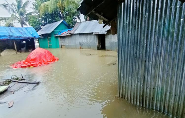 টানা বৃষ্টি ও উজানের পানিতে ফেনীর মুহুরী, কহুয়া ও সিলোনিয়া নদীর বন্যা নিয়ন্ত্রণ বাঁধের ১৫ স্থানে ভাঙন দেখা দিয়েছে। এতে সীমান্তবর্তী ফুলগাজী ও পরশুরাম উপজেলার বিস্তীর্ণ নিম্নাঞ্চল প্লাবিত হয়ে ভোগান্তিতে পড়েছে হাজারও মানুষ। ছবি: আবদুল্লাহ আল-মামুন