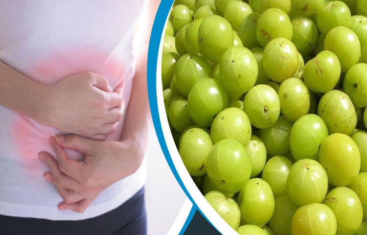 হজমের সমস্যা দূর করে: আমলকি কোষ্ঠকাঠিন্য, পেটফাঁপা ও বদহজম প্রতিরোধে সহায়ক। আমলকির রস বা আচার খেলে হজম প্রক্রিয়া উন্নত হয় এবং পাইলসের সমস্যাতেও আরাম মেলে। শুকনো আমলকি পানিতে ভিজিয়ে খেলে হজমশক্তি বাড়ে। খাবারের সঙ্গে আমলকির আচার বা চাটনি খেলে পেটের গোলযোগ দ্রুত সেরে যায়।