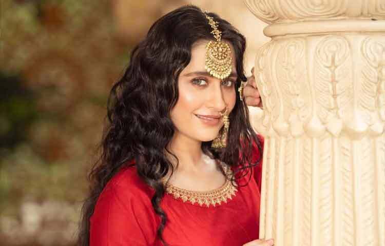 সানজিদা শেখের টেলিভিশন যাত্রা শুরু হয় ২০০৫ সালে। সেই সময় তিনি শো কেয়া হোগা নিম্মু কাতে-এ প্রধান ভূমিকায় অভিনয় করেন। এই শো-র মাধ্যমে দর্শকরা তার অভিনয় দক্ষতা ও প্রাঞ্জল উপস্থিতির সঙ্গে পরিচিত হন। তিনি যে চরিত্রের মধ্য দিয়ে যাত্রা শুরু করেছিলেন, তা তাকে টেলিভিশন ইন্ডাস্ট্রিতে একটি শক্ত অবস্থান দিতে সক্ষম হয়।