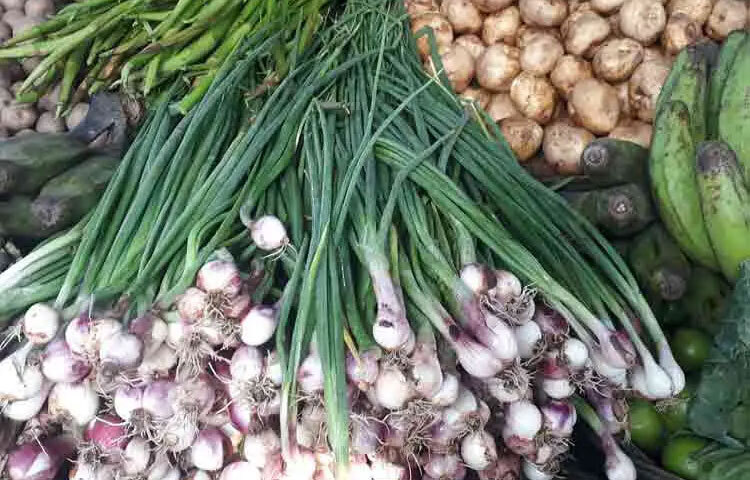 পেঁয়াজ পাতায় রয়েছে ভিটামিন সি ও অ্যান্টিঅক্সিডেন্ট, যা শরীরের রোগ প্রতিরোধ ক্ষমতা শক্তিশালী করে। নিয়মিত পেঁয়াজ পাতা খেলে সর্দি-কাশি ও মৌসুমি সংক্রমণের ঝুঁকি কমে।