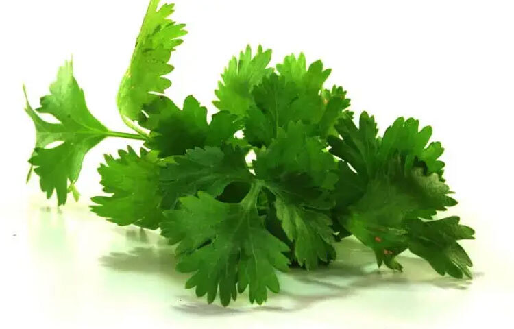 ধনেপাতায় রয়েছে ভিটামিন এ, সি ও কে যা চোখের দৃষ্টি ভালো রাখা, রোগ প্রতিরোধ ক্ষমতা বাড়ানো এবং রক্ত জমাট বাঁধার প্রক্রিয়া স্বাভাবিক রাখতে সহায়ক। পাশাপাশি এতে থাকা ক্যালসিয়াম, পটাশিয়াম ও ম্যাগনেশিয়াম হাড়ের স্বাস্থ্য ও হৃদ্‌যন্ত্রের কার্যকারিতা বজায় রাখতে সাহায্য করে।