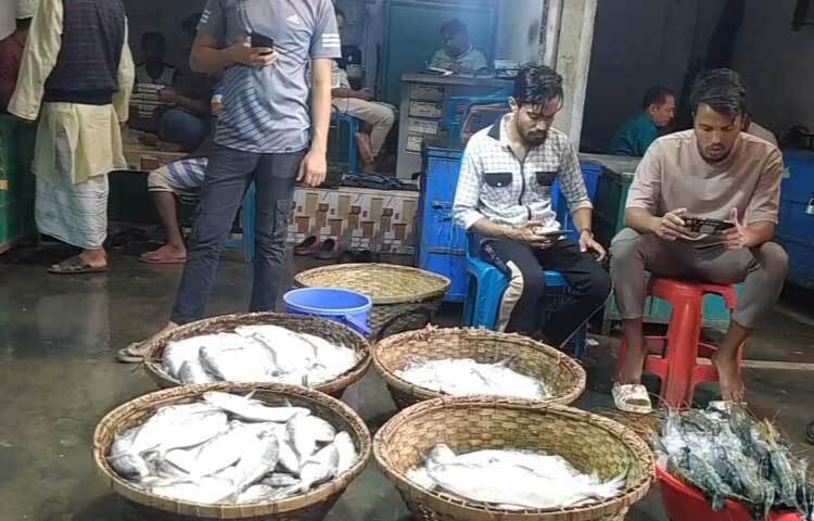 এদিকে জমজমাট থাকা চাঁদপুর ইলিশ ঘাট এখন যেন সুনসান নীরবতা। ইলিশের সরবরাহ কমে যাওয়ায় কমেছে ঘাটের শ্রমিকদের কর্মযজ্ঞ। দাম বেড়ে যাওয়ায় কমেছে ক্রেতা।