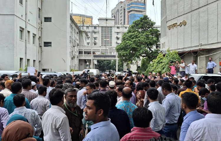 বিভিন্ন মন্ত্রণালয় এবং বিভাগের কর্মকর্তা-কর্মচারীরা বিক্ষোভে অংশ নিতে কাজ রেখে নিচে নেমে এসেছেন। অংশগ্রহণকারীদের সংখ্যা ক্রমেই বাড়ছে।