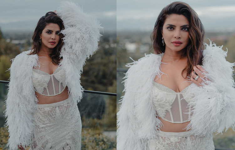 ২০০০ সালে ‘মিস ওয়ার্ল্ড’ খেতাব জিতে সবার নজরে আসেন প্রিয়াঙ্কা। তারপর বলিউডে পা রাখেন ‘দ্য হিরো: লাভ স্টোরি অব অ্যা স্পাই’ সিনেমার মাধ্যমে। ধীরে ধীরে একের পর এক ছবিতে অভিনয় করে গড়ে তুলেছেন শক্ত অবস্থান। ‘অন্দাজ’, ‘মুজসে শাদি করোগি’, ‘ফ্যাশন’, ‘বরফি’, ‘কৃষ’, ‘বাজিরাও মস্তানি’ প্রতিটি ছবিতেই তার পারফরম্যান্সে দেখা গেছে অভিনয়ের গাঁথুনি আর স্টাইলের মুন্সিয়ানা।