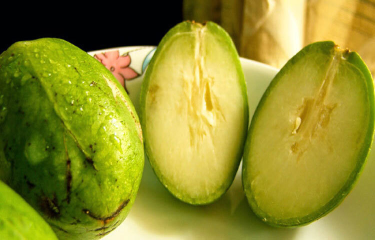 রোগ প্রতিরোধ ক্ষমতা বৃদ্ধি করে: আমড়ায় ভিটামিন সি-এর পরিমাণ অনেক বেশি। ভিটামিন সি শরীরের রোগ প্রতিরোধ ক্ষমতা বাড়াতে কাজ করে এবং ঠান্ডা-কাশি কিংবা মৌসুমি রোগ প্রতিরোধে সহায়তা করে। বিশেষ করে বর্ষাকালে আমড়া খেলে শরীরের প্রতিরোধ ক্ষমতা সক্রিয় থাকে।