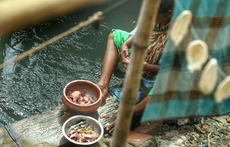 নৌকাতেই রান্না হয়, নদীতেই গোসল, আর নৌকার কাঠের তলায়ই চলে জীবনের সব হিসাব।